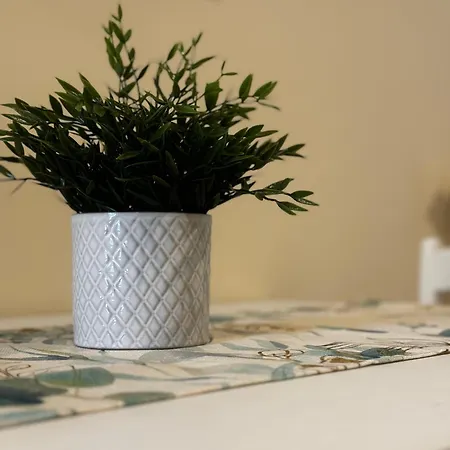 Serene 维克艾库塞